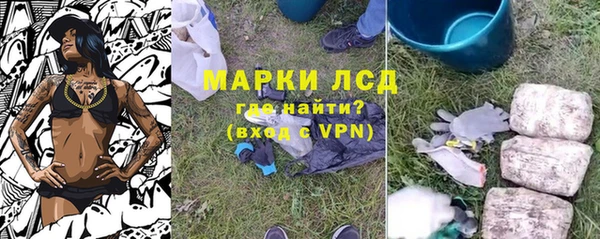 сатива Белокуриха