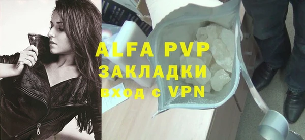 шишки Беломорск