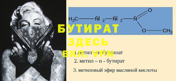 шишки Беломорск