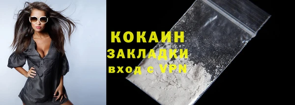 шишки Беломорск