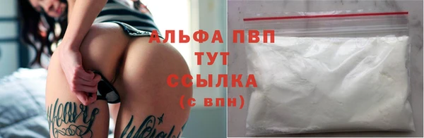 шишки Беломорск