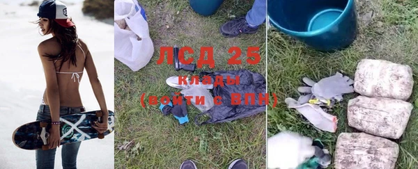 сатива Белокуриха