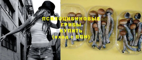 шишки Беломорск