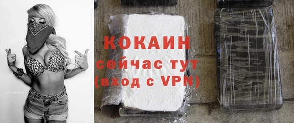 шишки Беломорск