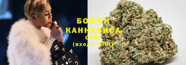 сатива Белокуриха